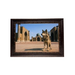 İpek Kadife Semerkand'ın Işığı Tablosu